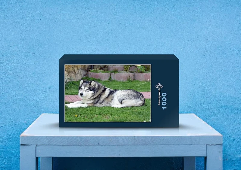 30869 Tierwelt - Huskie Puzzle