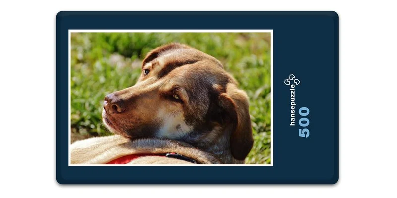 27509 Tierwelt - Hund Puzzle