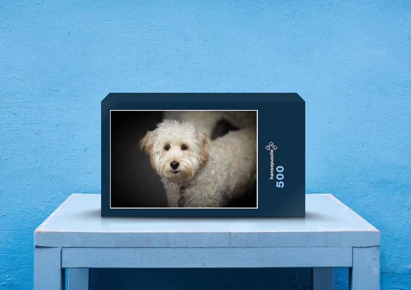 30562 Tierwelt - Labradoodle Puzzle