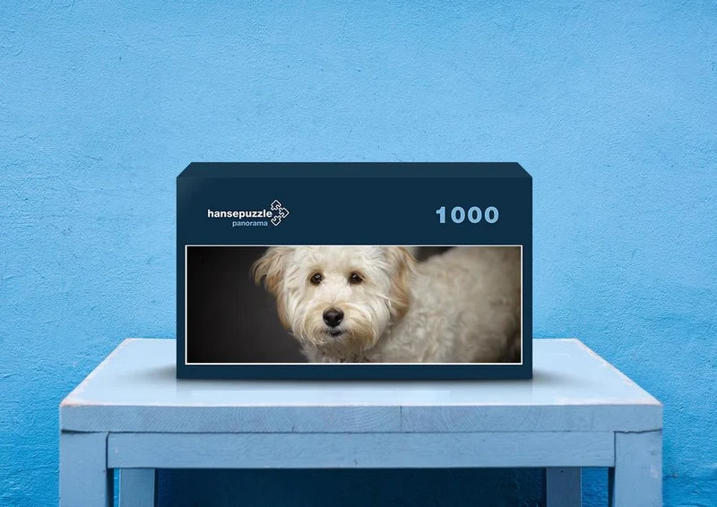 30562 Tierwelt - Labradoodle Puzzle