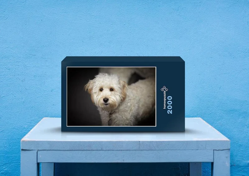 30562 Tierwelt - Labradoodle Puzzle