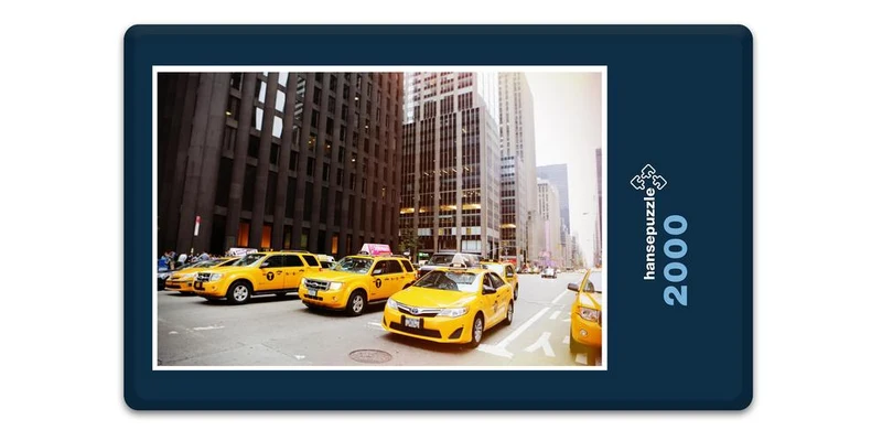 18128 Fortbewegung - NYC Taxi Puzzle