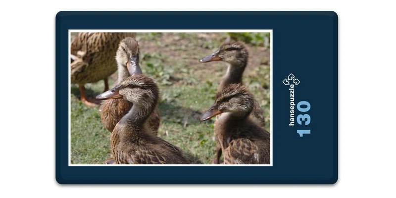 19455 Tierwelt - Enten-Küken Puzzle