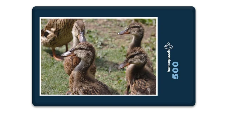 19455 Tierwelt - Enten-Küken Puzzle