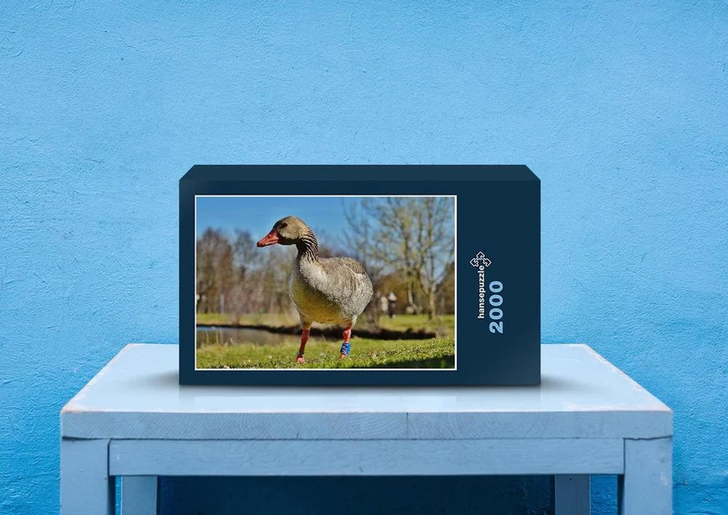 36669 Tierwelt - Gans Puzzle
