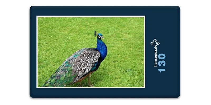 19440 Tierwelt - Pfau Puzzle