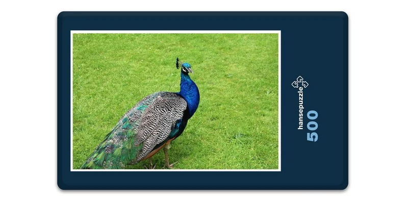 19440 Tierwelt - Pfau Puzzle