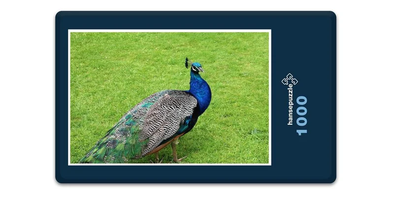 19440 Tierwelt - Pfau Puzzle
