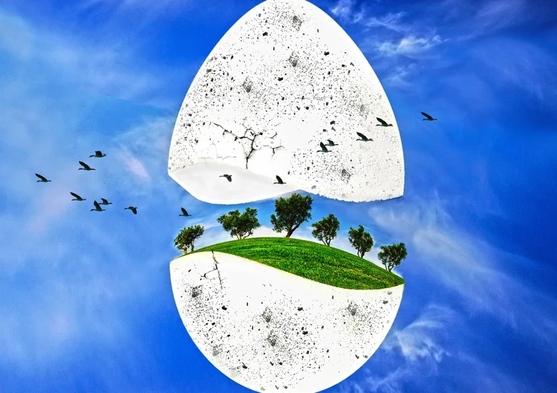 36527 Tierwelt - Himmel Puzzle