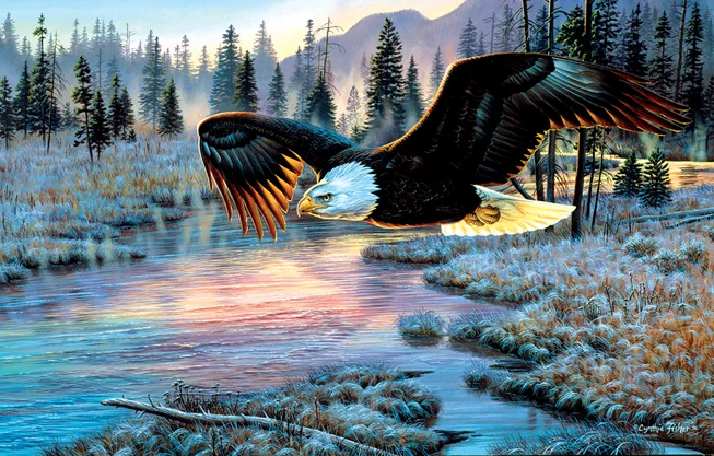 Eagle Dawn, Cynthia Fisher