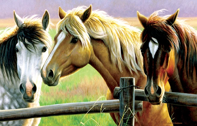 Horse Fence, Cynthia Fisher