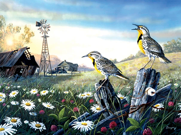 Meadow Outpost, Terry Doughty