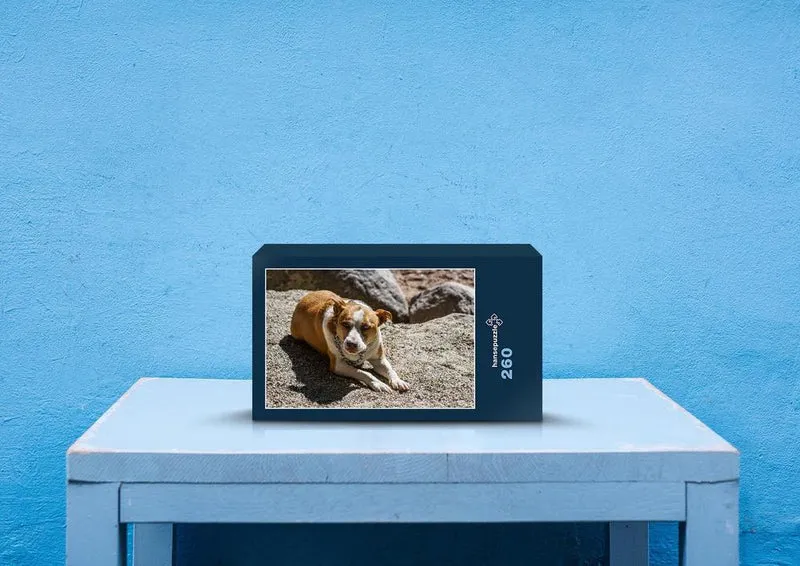 34465 Tierwelt - Hund Puzzle