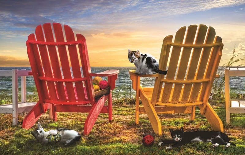 Cat Nap at the Beach, Celebrate Life Gallery