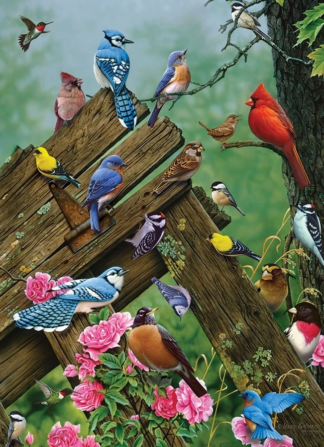 Birds of the Forest, Jerry Gadamus