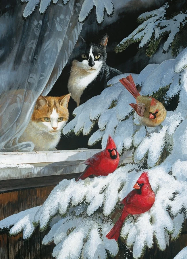 Bird Watchers, Persis Clayton Weirs
