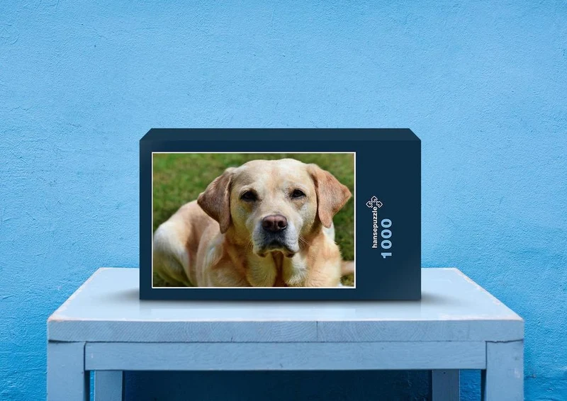 34620 Tierwelt - Labrador Puzzle