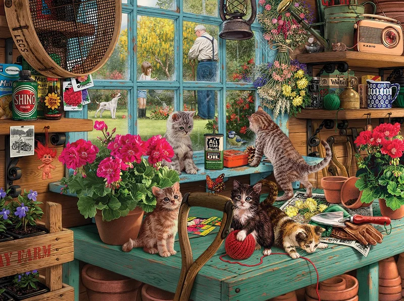 Curious Kittens, Steve Read