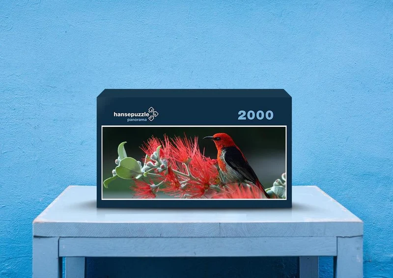 36164 Tierwelt - Vogel Puzzle