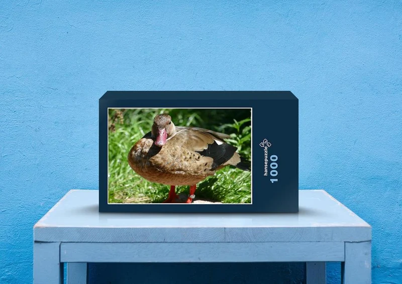 36154 Tierwelt - Stockente Puzzle