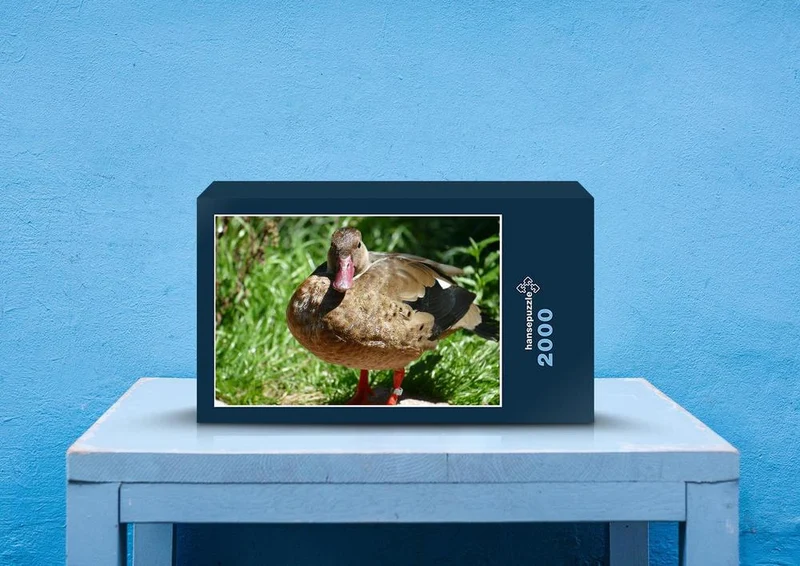 36154 Tierwelt - Stockente Puzzle