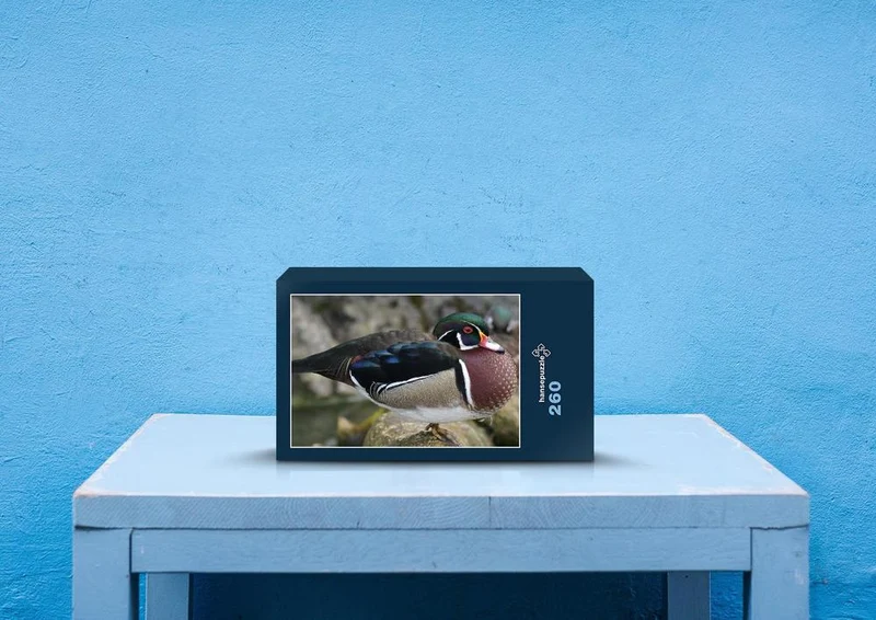 36498 Tierwelt - Erpel Puzzle