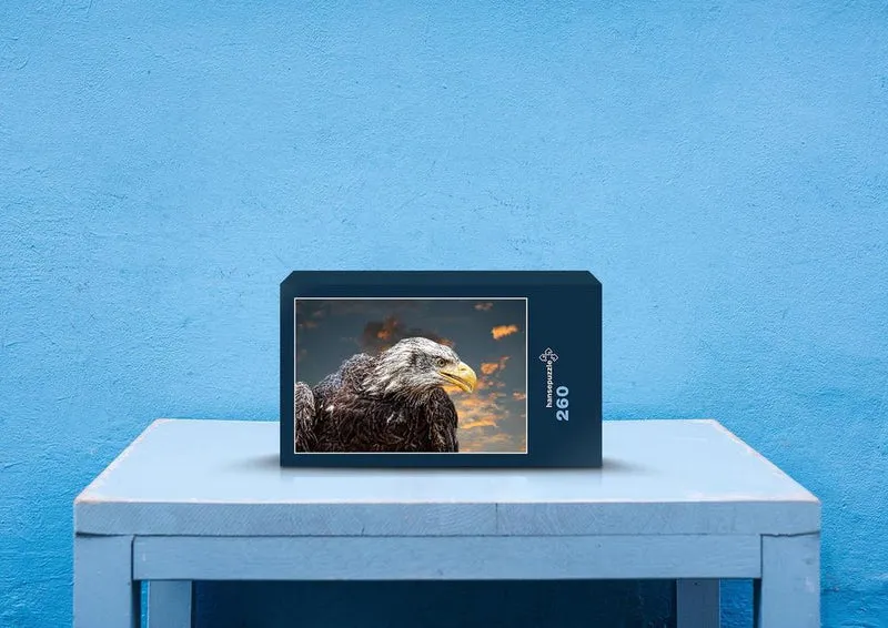 26388 Tierwelt - Weißkopf-Seeadler Puzzle