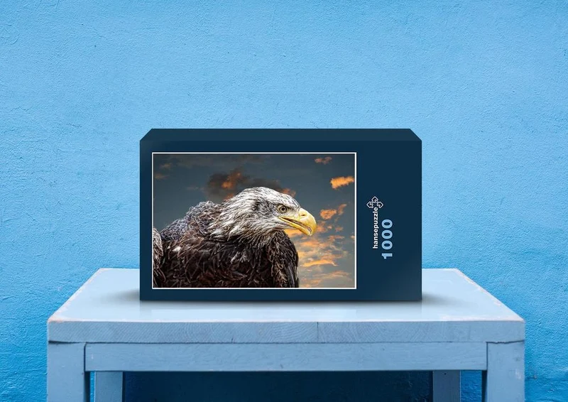 26388 Tierwelt - Weißkopf-Seeadler Puzzle