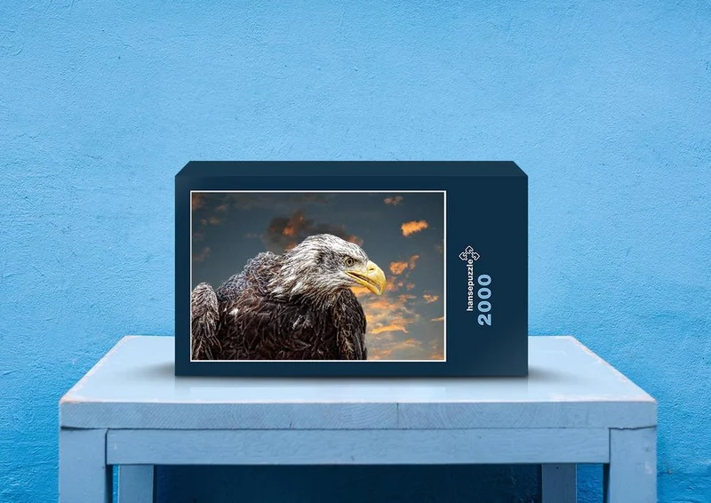 26388 Tierwelt - Weißkopf-Seeadler Puzzle