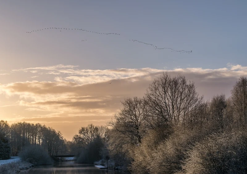 36488 Tierwelt - Sonnenaufgang Puzzle