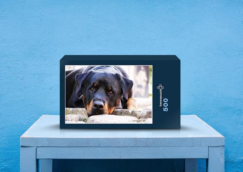 34444 Tierwelt - Hund Puzzle