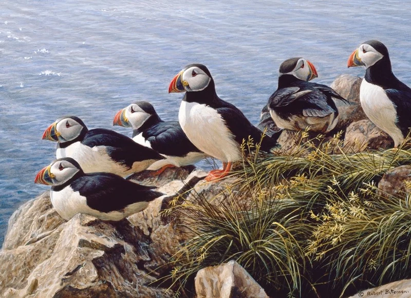 Bright Day, Robert Bateman