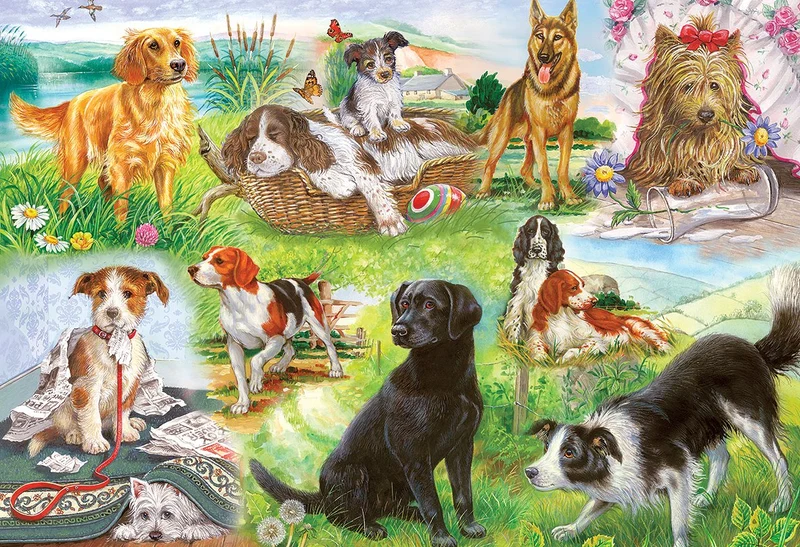 Wagging Tails, Michael Bevan