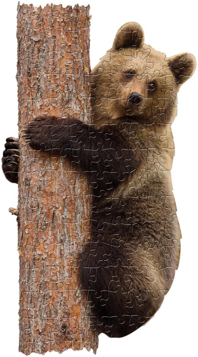 I Am Lil' Bear (Shaped Puzzle)