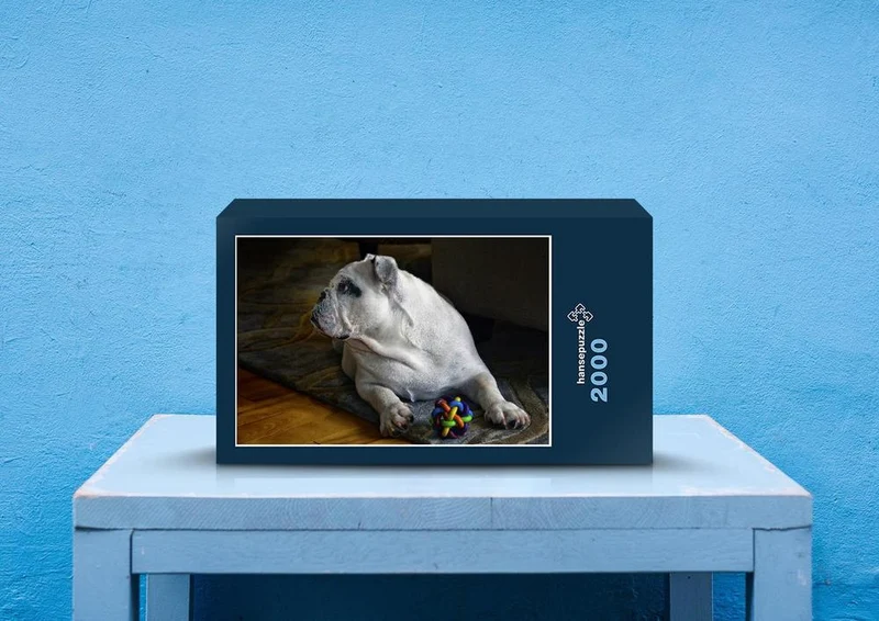 35866 Tierwelt - Englisch bulldogge Puzzle