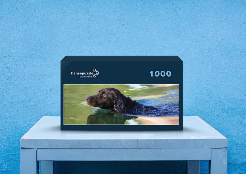 41234 Tierwelt - See-Hund Puzzle