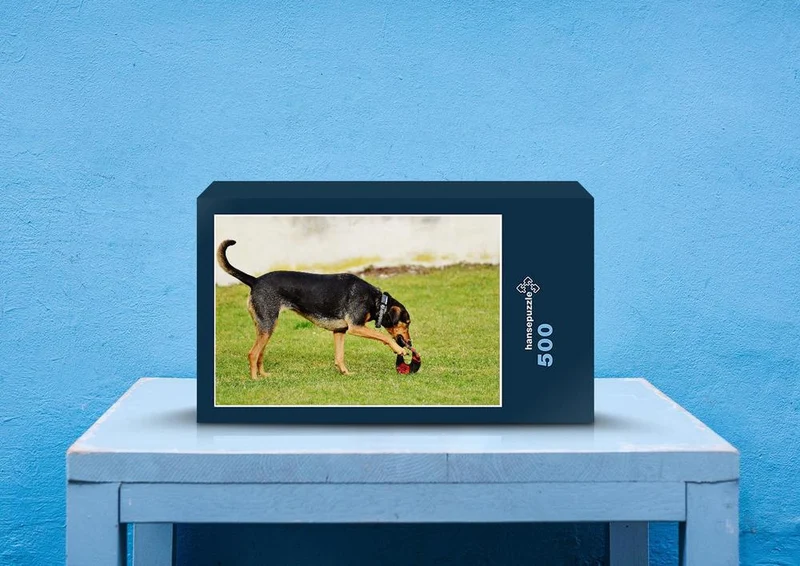 34377 Tierwelt - Hund Puzzle