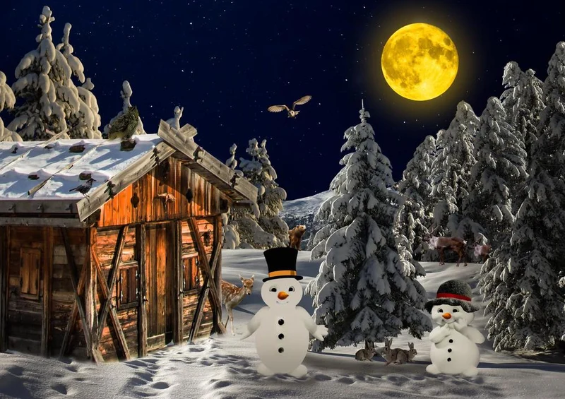30810 Natur - Winterlandschaft Puzzle