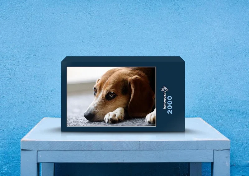 34029 Tierwelt - Beagle Puzzle