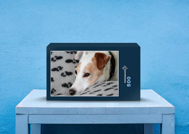 34019 Tierwelt - Jack russell Puzzle