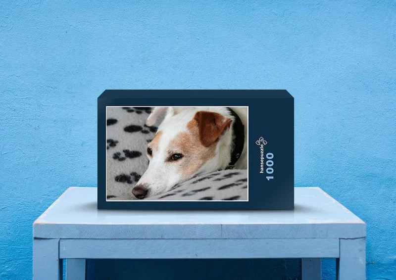 34019 Tierwelt - Jack russell Puzzle