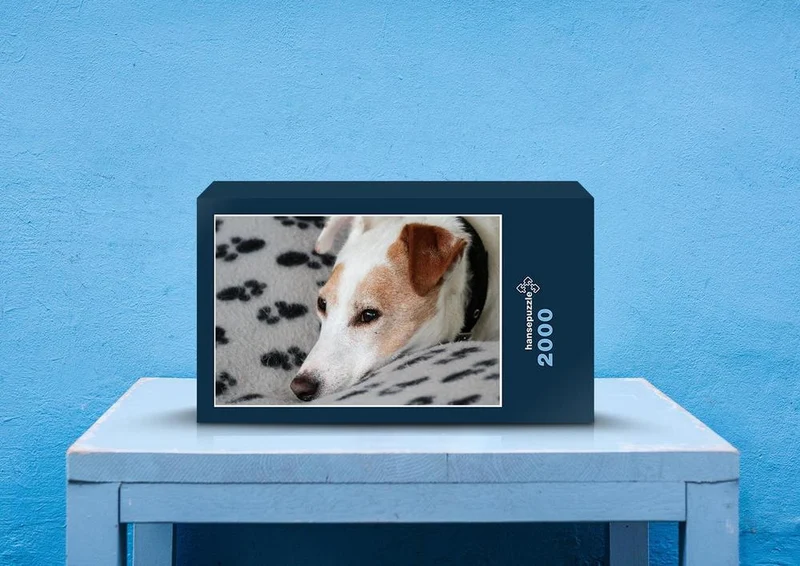 34019 Tierwelt - Jack russell Puzzle