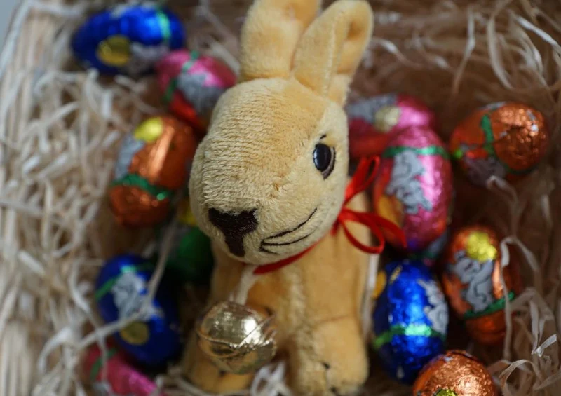 29998 Tierwelt - Osterhase Puzzle