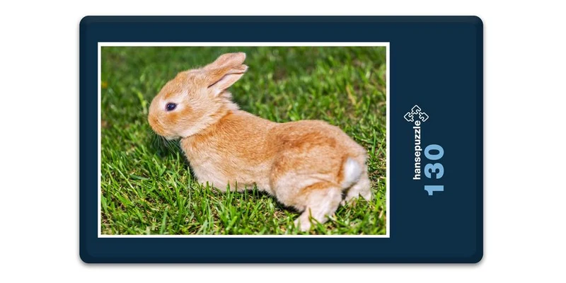 18806 Tierwelt - Kaninchen Puzzle
