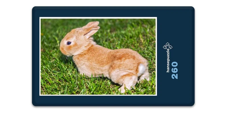 18806 Tierwelt - Kaninchen Puzzle