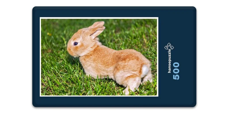 18806 Tierwelt - Kaninchen Puzzle
