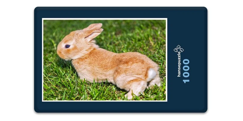 18806 Tierwelt - Kaninchen Puzzle