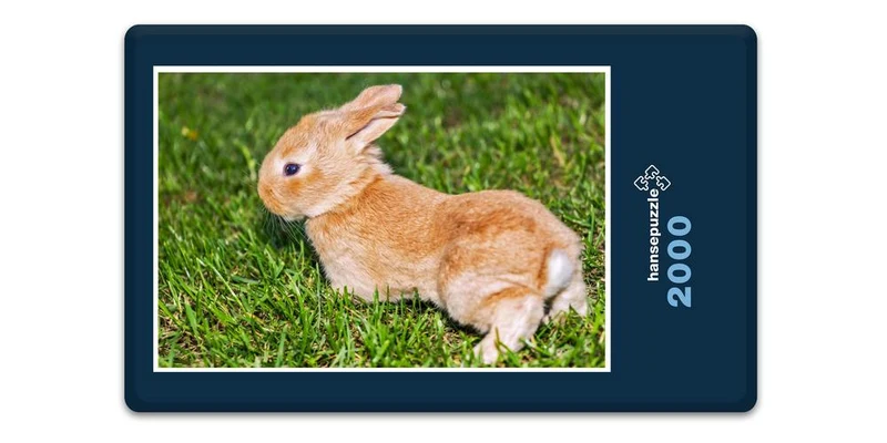 18806 Tierwelt - Kaninchen Puzzle