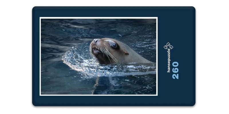 18796 Tierwelt - Seehund im Wasser Puzzle
