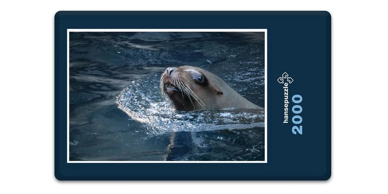 18796 Tierwelt - Seehund im Wasser Puzzle